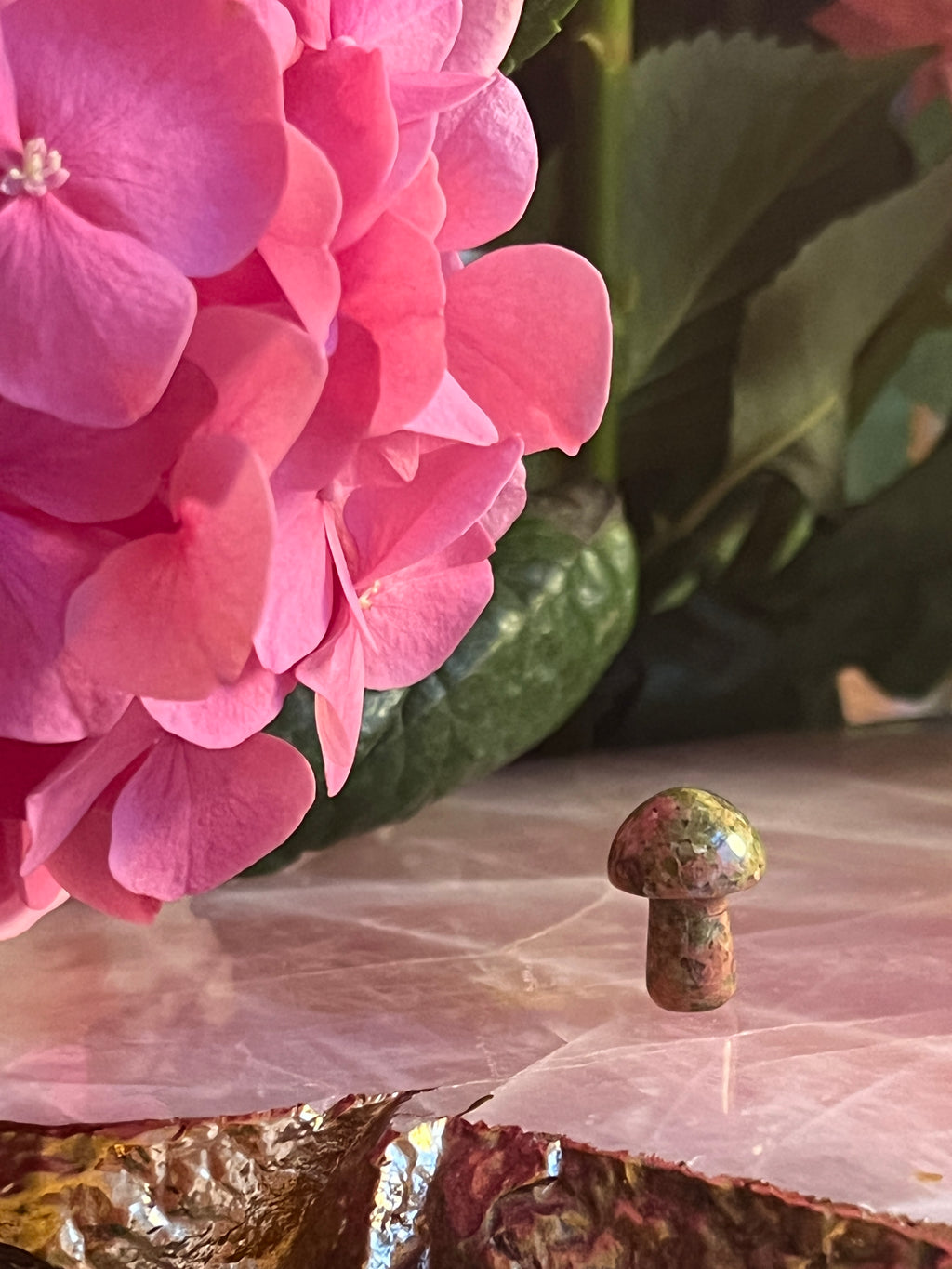 Unakite Crystal Healing Mushroom