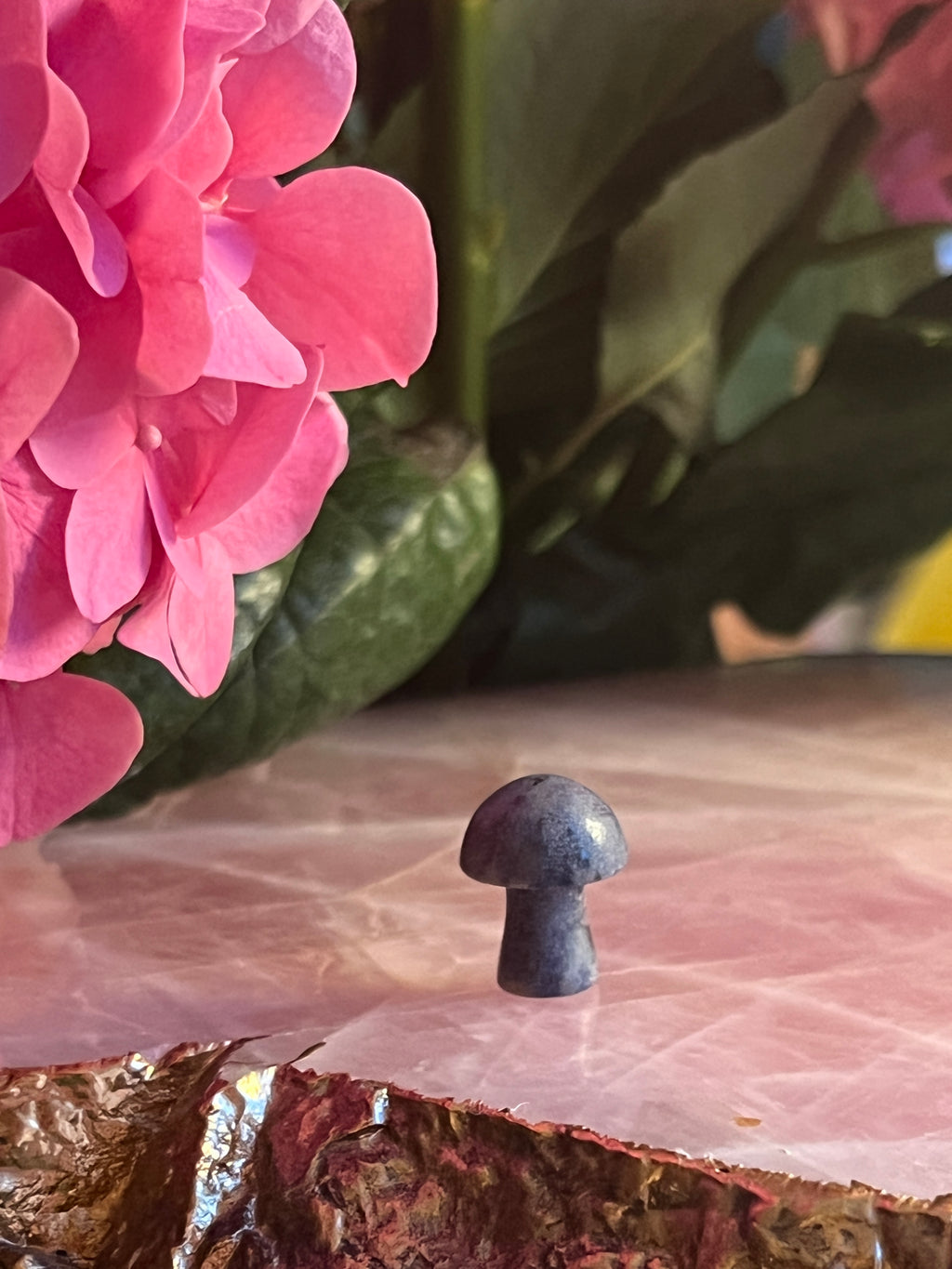 Sodalite Crystal Healing Mushroom